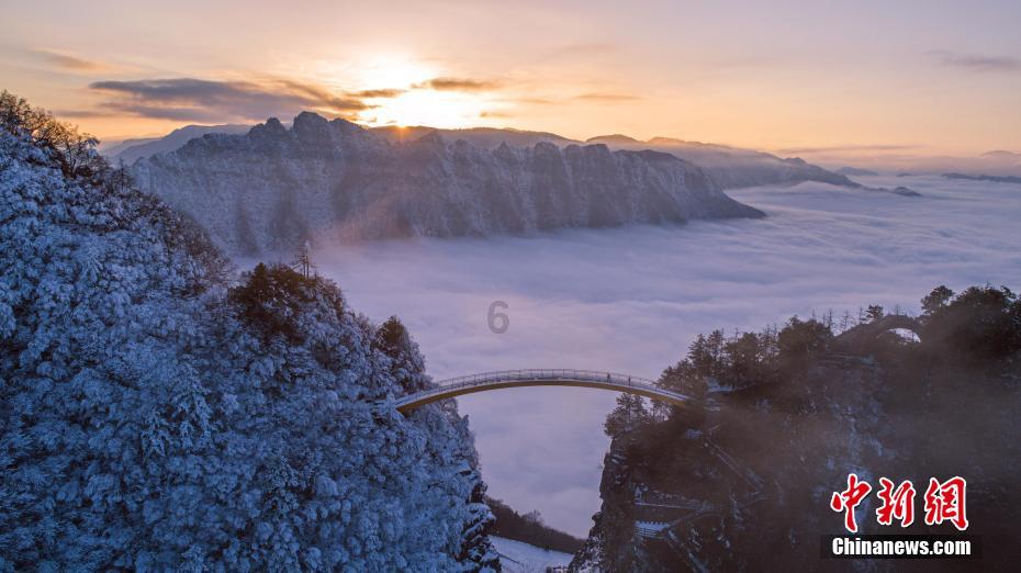 古生物真的可以复活吗游戏画面